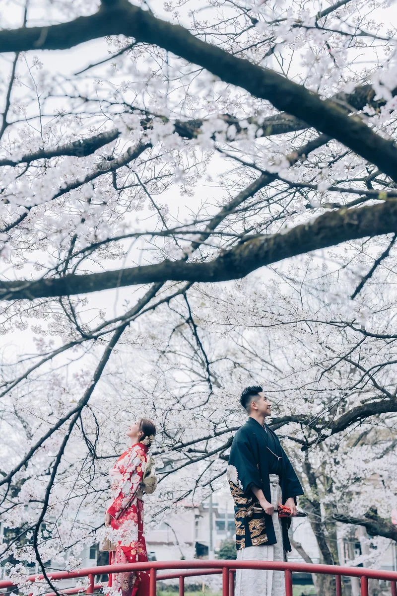 Winky & Kelvin 櫻花婚紗照